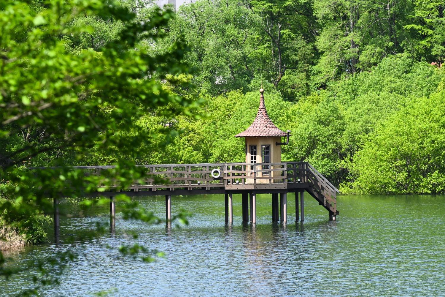 🏞️ 무민밸리 파크 이미지 7